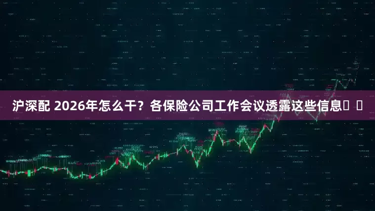 沪深配 2026年怎么干？各保险公司工作会议透露这些信息⋯⋯